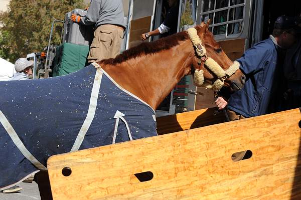 WIHS-10-25-09-DSC_2669-AroundGrounds-Outdoors-DDeRosaPhoto.jpg
