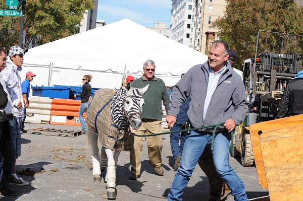 WIHS-10-25-09-DSC_2670-AroundGrounds-Outdoors-DDeRosaPhoto.jpg