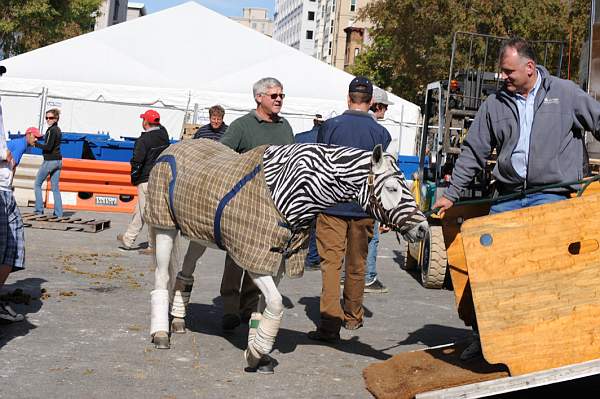 WIHS-10-25-09-DSC_2672-AroundGrounds-Outdoors-DDeRosaPhoto.jpg