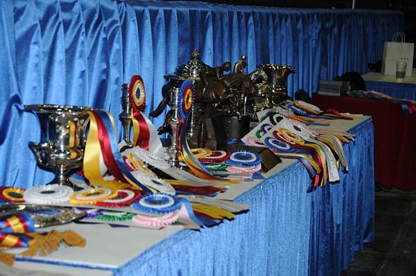 WIHS-10-21-09-DER_5486-Awards-DDeRosaPhoto.jpg