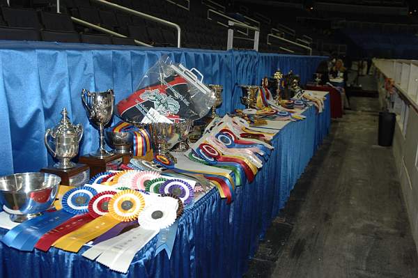 WIHS-10-21-09-DSC_0008-Awards-DDeRosaPhoto.jpg