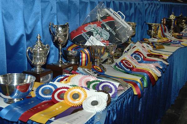 WIHS-10-21-09-DSC_0009-Awards-DDeRosaPhoto.jpg