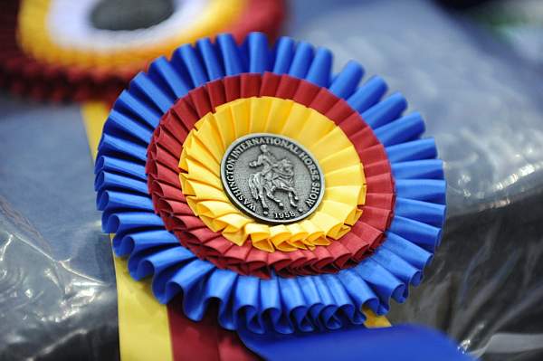 WIHS-10-23-09-DSC_7574-Awards-DDeRosaPhoto.jpg