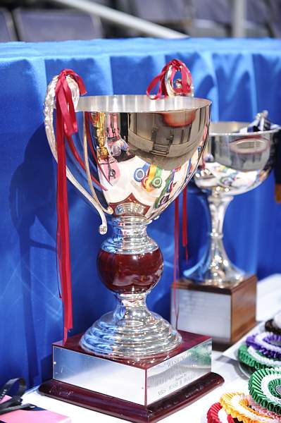 WIHS-10-24-09-DER_8180-Awards-DDeRosaPhoto.jpg