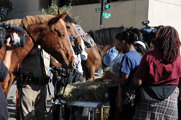 WIHS-10-21-09-DSC_2014-BreakfastwithParkPolice-DDeRosaPhoto.jpg