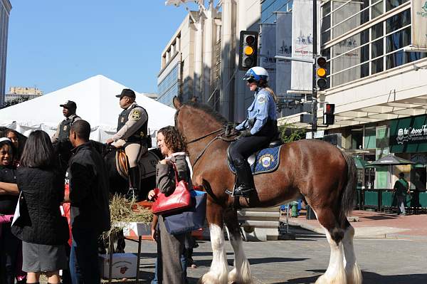 WIHS-10-21-09-DSC_2101-BreakfastwithParkPolice-DDeRosaPhoto.jpg