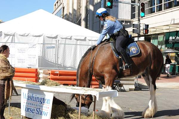 WIHS-10-21-09-DSC_2106-BreakfastwithParkPolice-DDeRosaPhoto.jpg