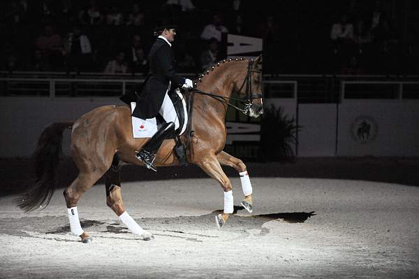 WIHS-10-22-09-DSC_6788-AshleyHolzer-PopArt-Dressage-DDeRosaPhoto.jpg