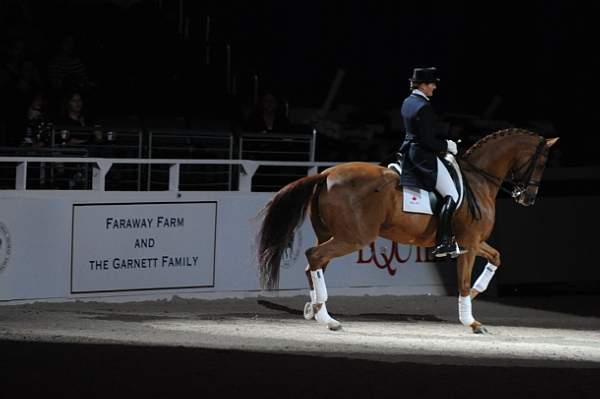 WIHS-10-23-09-DER_7312-AshleyHolzer-PopArt-Dressage-DDeRosaPhoto.jpg
