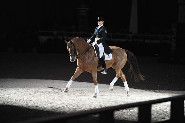 WIHS-10-23-09-DER_7315-AshleyHolzer-PopArt-Dressage-DDeRosaPhoto.jpg