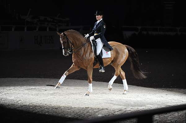 WIHS-10-23-09-DER_7317-AshleyHolzer-PopArt-Dressage-DDeRosaPhoto.jpg