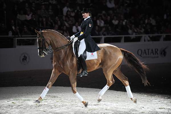 WIHS-10-23-09-DER_7322-AshleyHolzer-PopArt-Dressage-DDeRosaPhoto.jpg