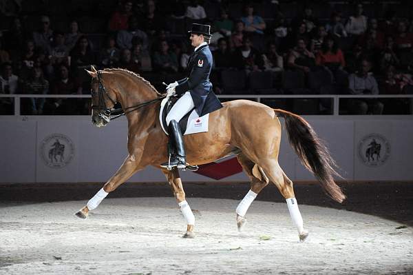 WIHS-10-23-09-DER_7327-AshleyHolzer-PopArt-Dressage-DDeRosaPhoto.jpg