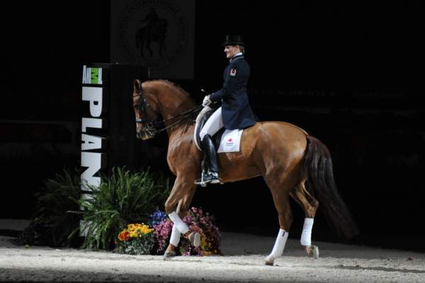 WIHS-10-23-09-DER_7355--AshleyHolzer-PopArt-Dressage-DDeRosaPhoto.jpg
