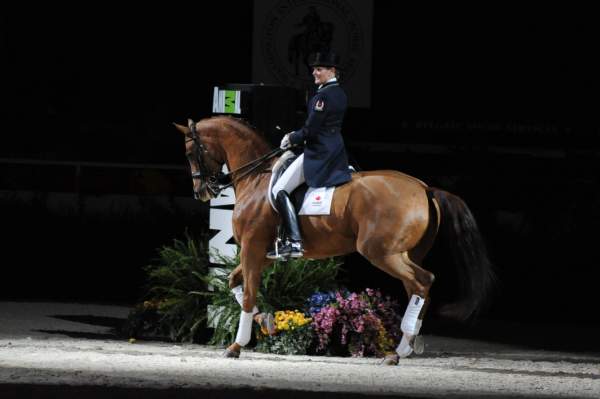 WIHS-10-23-09-DER_7356-AshleyHolzer-PopArt-Dressage-DDeRosaPhoto.jpg