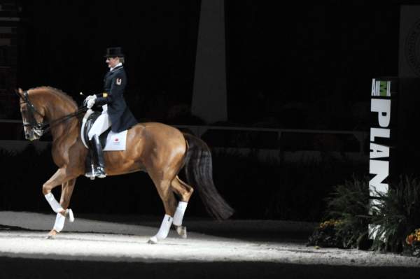 WIHS-10-23-09-DER_7361-AshleyHolzer-PopArt-Dressage-DDeRosaPhoto.jpg