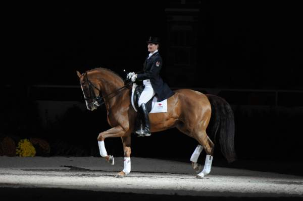 WIHS-10-23-09-DER_7363-AshleyHolzer-PopArt-Dressage-DDeRosaPhoto.jpg