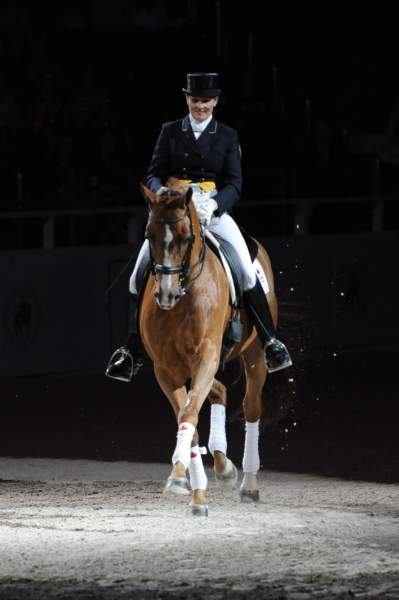 WIHS-10-23-09-DER_7368-AshleyHolzer-PopArt-Dressage-DDeRosaPhoto.jpg