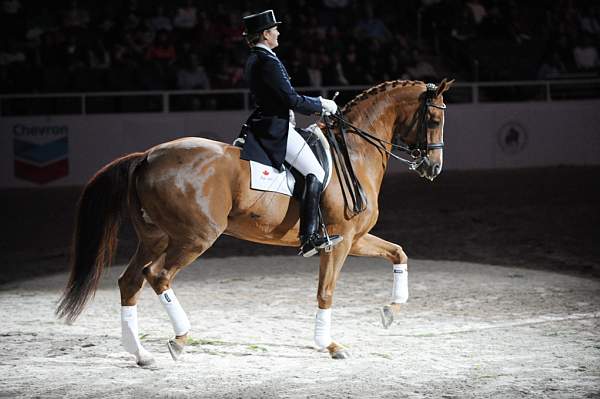 WIHS-10-23-09-DER_7380-AshleyHolzer-PopArt-Dressage-DDeRosaPhoto.jpg