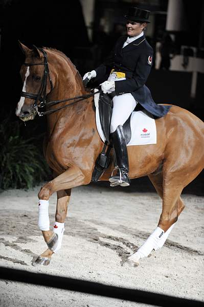 WIHS-10-23-09-DER_7397-AshleyHolzer-PopArt-Dressage-DDeRosaPhoto.jpg
