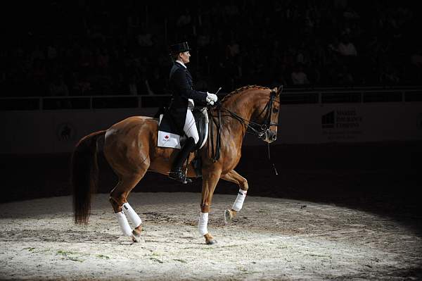 WIHS-10-23-09-DER_7437--AshleyHolzer-PopArt-Dressage-DDeRosaPhoto.jpg