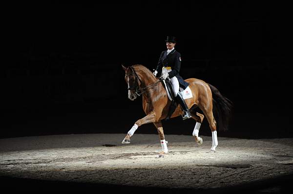 WIHS-10-23-09-DER_7441-AshleyHolzer-PopArt-Dressage-DDeRosaPhoto.jpg
