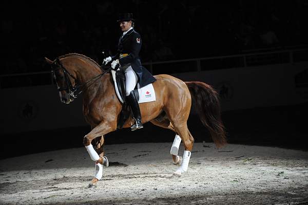 WIHS-10-23-09-DER_7455-AshleyHolzer-PopArt-Dressage-DDeRosaPhoto.jpg
