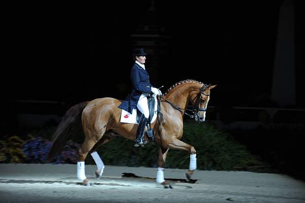 WIHS-10-24-09-DSC_0635-AshleyHolzer-PopArt-Dressage-DDeRosaPhoto.jpg