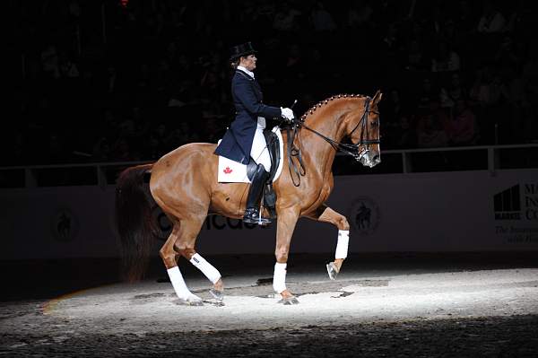WIHS-10-24-09-DSC_0644-AshleyHolzer-PopArt-Dressage-DDeRosaPhoto.jpg
