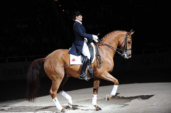 WIHS-10-24-09-DSC_0652-AshleyHolzer-PopArt-Dressage-DDeRosaPhoto.jpg