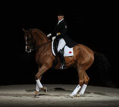 WIHS-10-24-09-DSC_0695-AshleyHolzer-PopArt-Dressage-DDeRosaPhoto.jpg