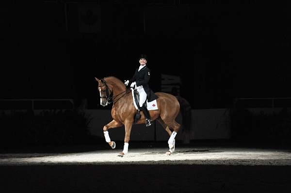 WIHS-10-24-09-DSC_0716-AshleyHolzer-PopArt-Dressage-DDeRosaPhoto.jpg