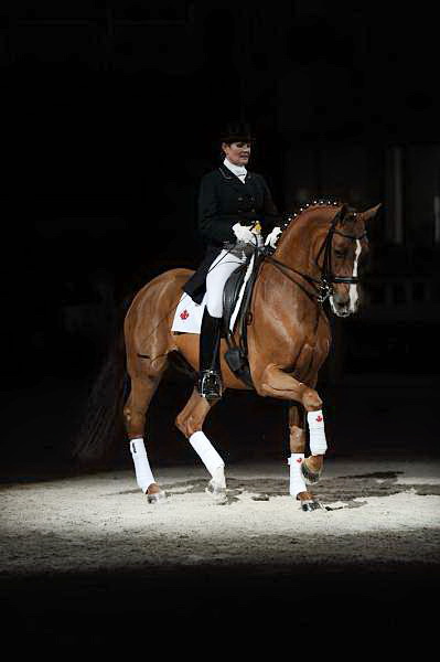 WIHS-10-24-09-DSC_0731-AshleyHolzer-PopArt-Dressage-DDeRosaPhoto.jpg