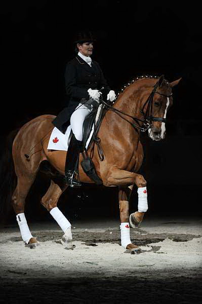 WIHS-10-24-09-DSC_0735-AshleyHolzer-PopArt-Dressage-DDeRosaPhoto.jpg