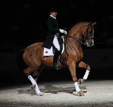 WIHS-10-24-09-DSC_0740-AshleyHolzer-PopArt-Dressage-DDeRosaPhoto.jpg