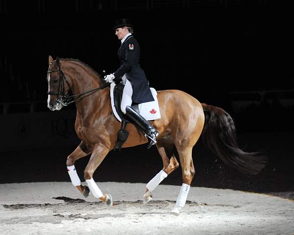 WIHS-10-25-09-DSC_3774-AshleyHolzer-PopArt-Dressage-DDeRosaPhoto.jpg