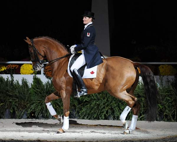 WIHS-10-25-09-DSC_3820-AshleyHolzer-PopArt-Dressage-DDeRosaPhoto.jpg