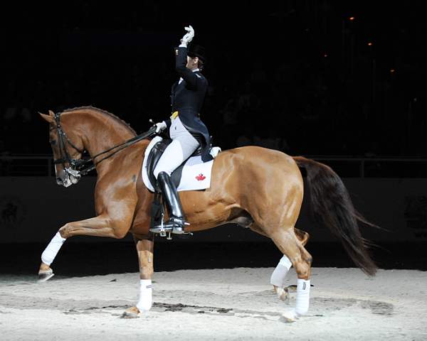 WIHS-10-25-09-DSC_3987-AshleyHolzer-PopArt-Dressage-DDeRosaPhoto.jpg