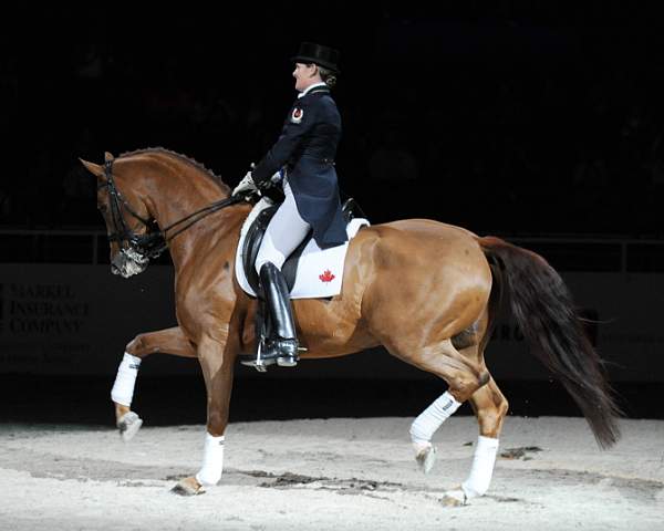 WIHS-10-25-09-DSC_3988-AshleyHolzer-PopArt-Dressage-DDeRosaPhoto.jpg