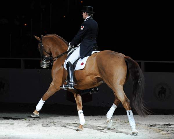 WIHS-10-25-09-DSC_3993-AshleyHolzer-PopArt-Dressage-DDeRosaPhoto.jpg