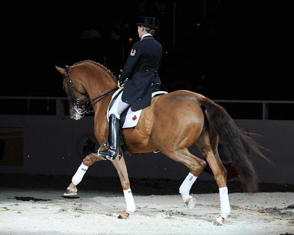 WIHS-10-25-09-DSC_3994-AshleyHolzer-PopArt-Dressage-DDeRosaPhoto.jpg