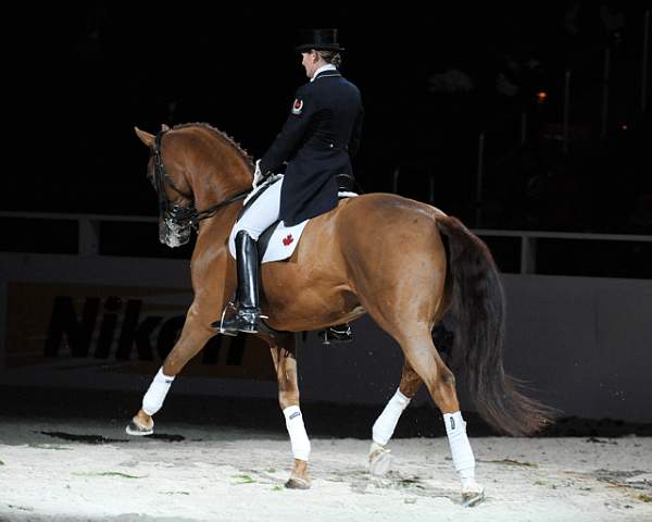 WIHS-10-25-09-DSC_3995-AshleyHolzer-PopArt-Dressage-DDeRosaPhoto.jpg