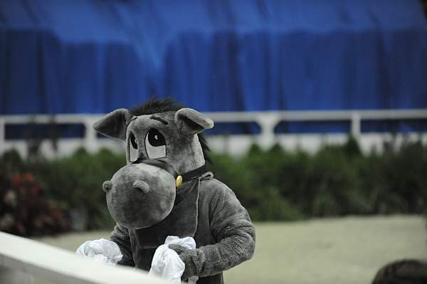 WIHS-10-23-09-DER_7221-Mascot-DDeRosaPhoto.jpg