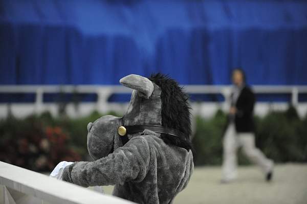 WIHS-10-23-09-DER_7222-Mascot-DDeRosaPhoto.jpg