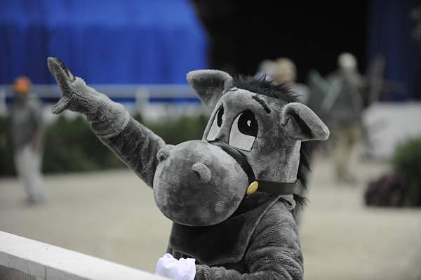 WIHS-10-23-09-DER_7225-Mascot-DDeRosaPhoto.jpg