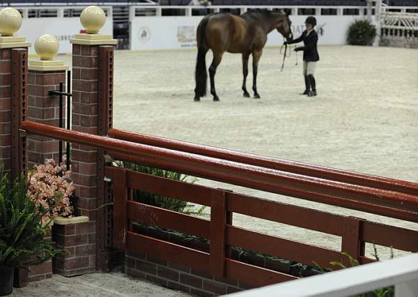 WIHS-10-20-10-DER_5226-Misc-DDeRosaPhoto.jpg