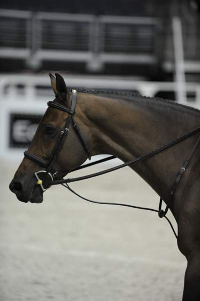 WIHS-10-22-09-DSC_4172-BrownDerby-HayleyBarnhill-SmJrHtr15U-Misc-DDeRosaPhoto.jpg