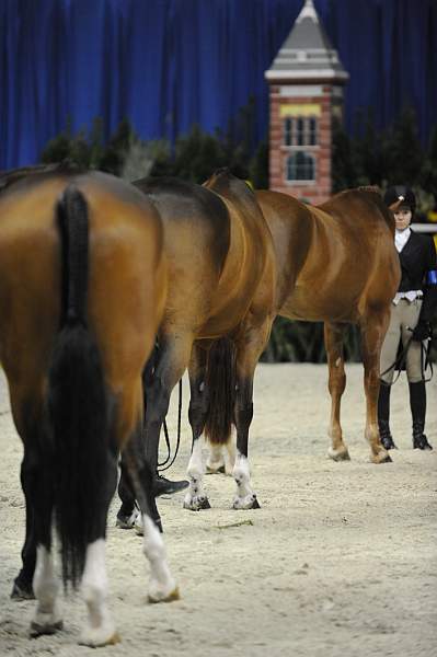 WIHS-10-23-09-DSC_7741-Miscellaneous-DDeRosaPhoto.jpg