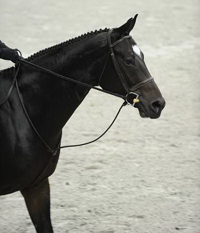WIHS-10-23-09-DSC_8113-Hiawatha-SarahGarnett-Miscellaneous-DDeRosaPhoto.jpg