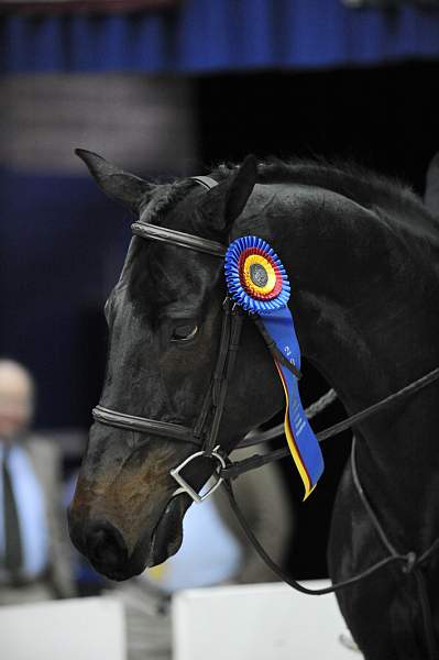 WIHS-10-25-09-LocalHtrGrChampion-DSC_2890-GranTurismo-AngeeQuattro-Kerns-Misc-DDeRosaPhoto.jpg